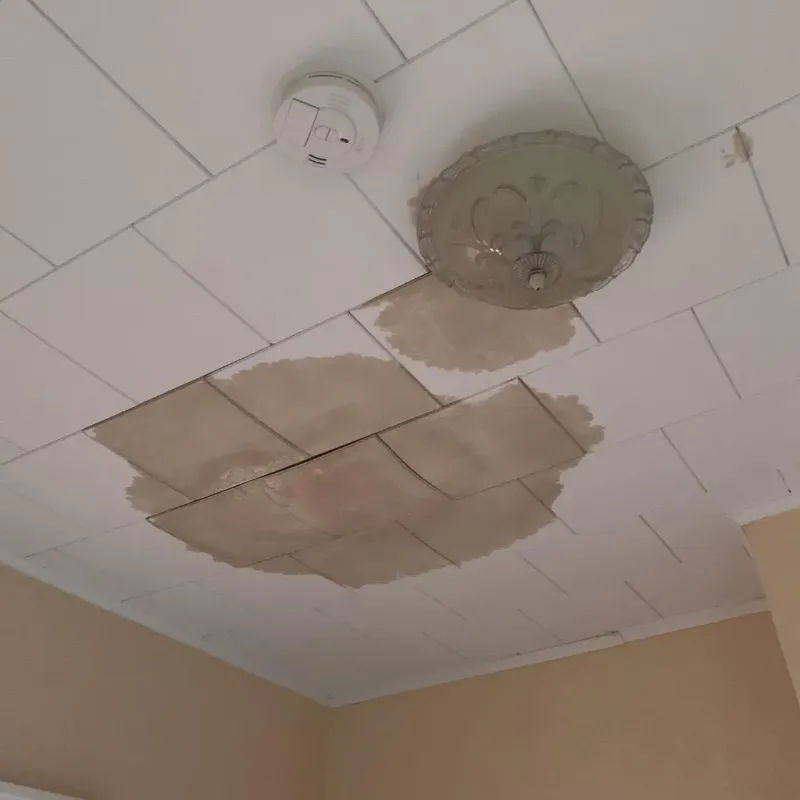 Ceiling Water Damage Repair in Potter Lake, WI