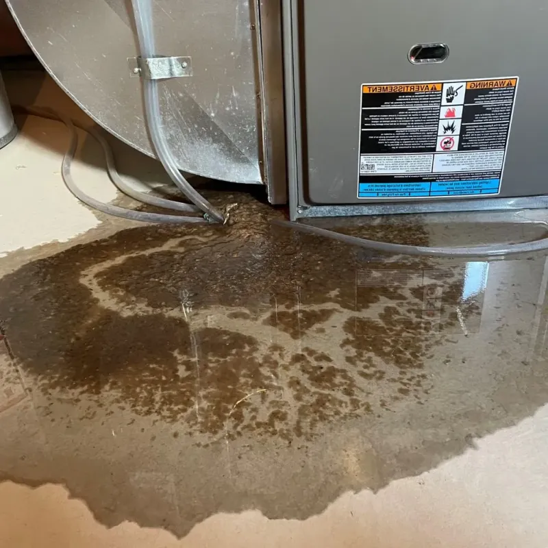 Pipe Burst and Leak Restoration in Potter Lake, WI