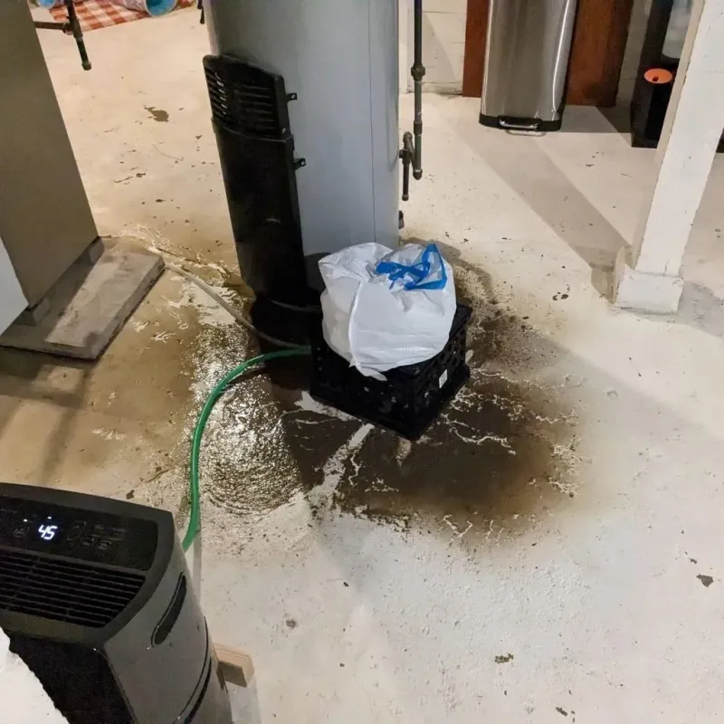 Sewage Backup Cleanup Service in Potter Lake, WI